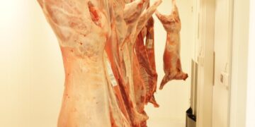 raw meat on white table