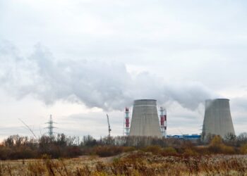 Meso in mleko sta energetska požrešneža