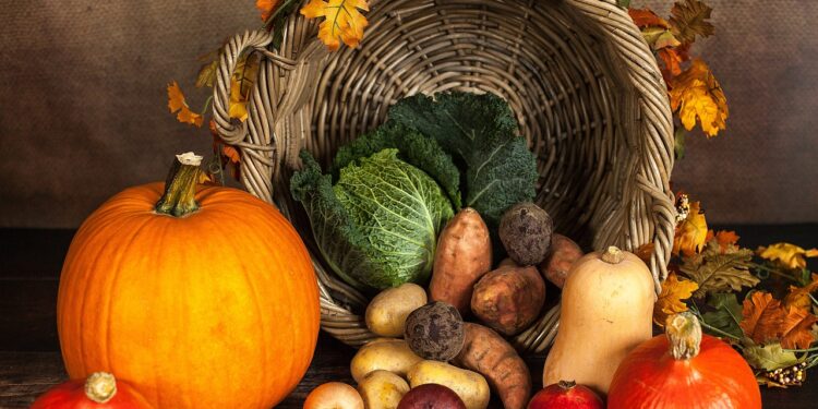 pumpkin, vegetables, autumn