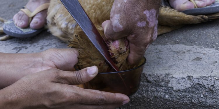 Zopet pomor nedolžnih živali